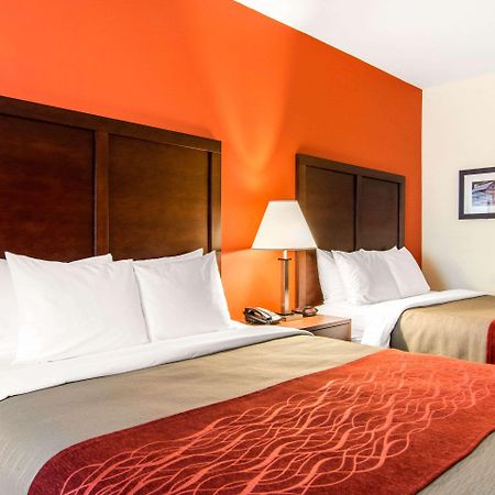 וילה ריקה Comfort Inn & Suites מראה חיצוני תמונה