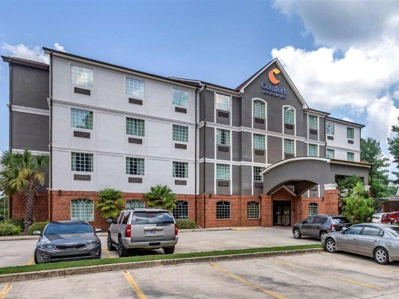 וילה ריקה Comfort Inn & Suites מראה חיצוני תמונה