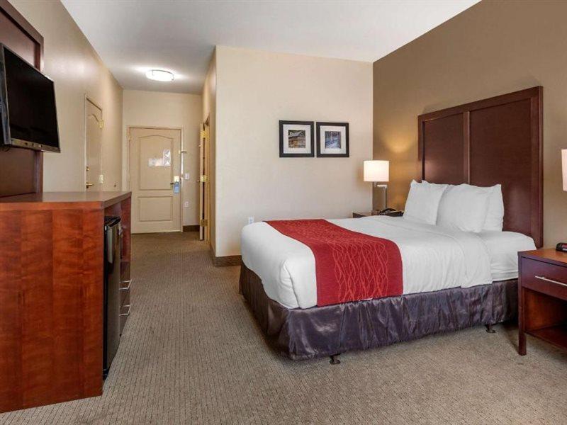 וילה ריקה Comfort Inn & Suites מראה חיצוני תמונה