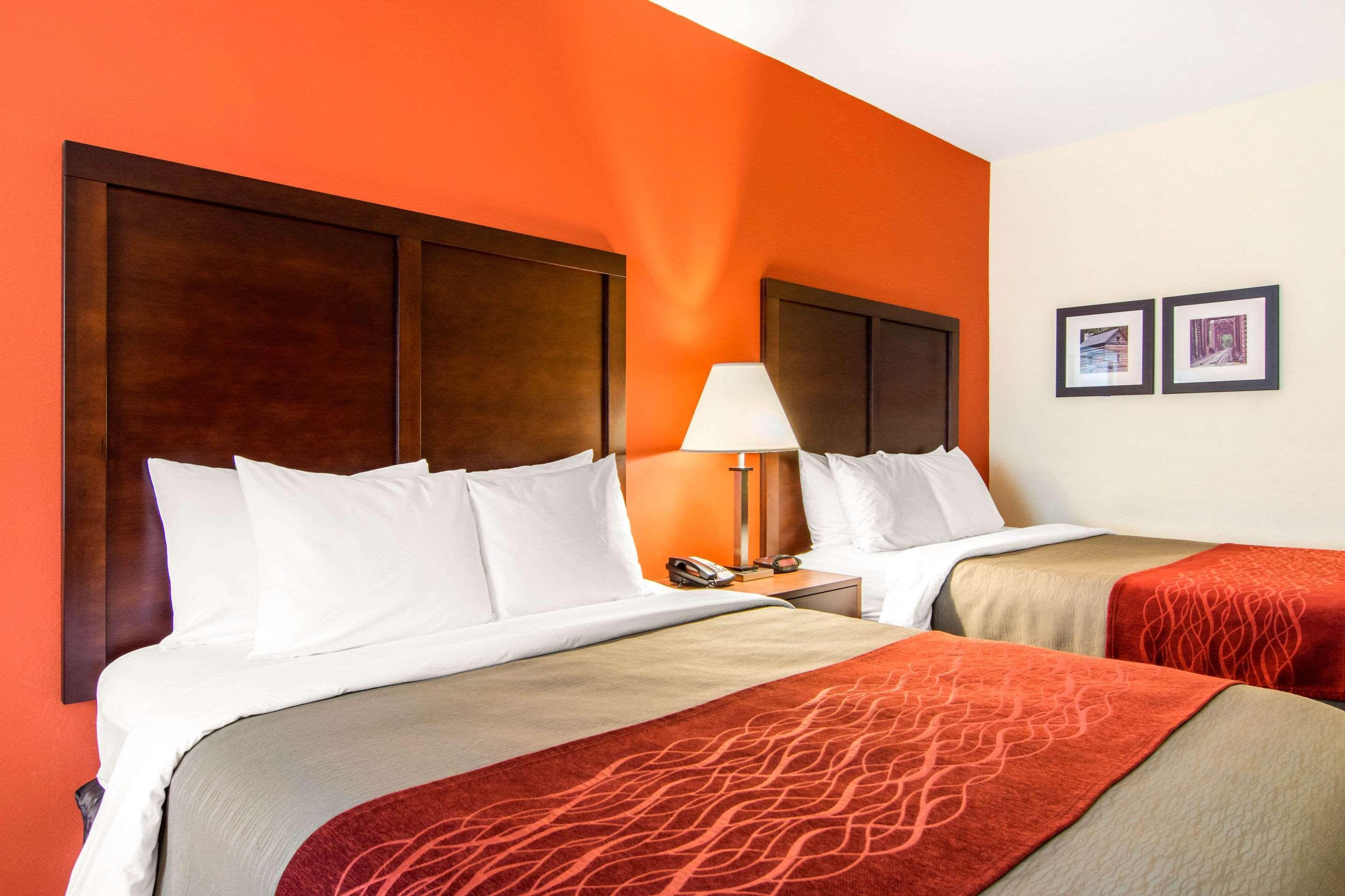 וילה ריקה Comfort Inn & Suites מראה חיצוני תמונה