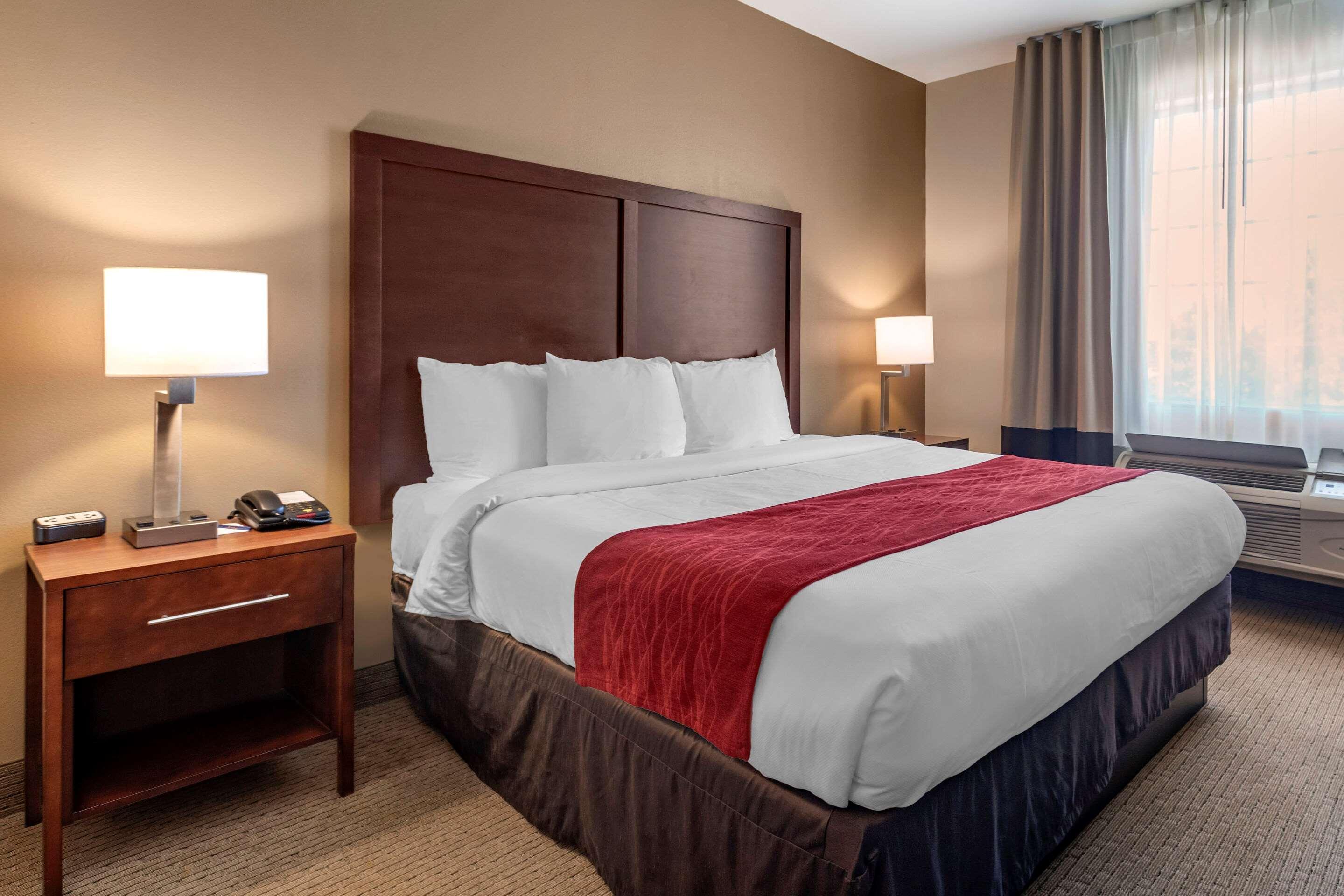 וילה ריקה Comfort Inn & Suites מראה חיצוני תמונה