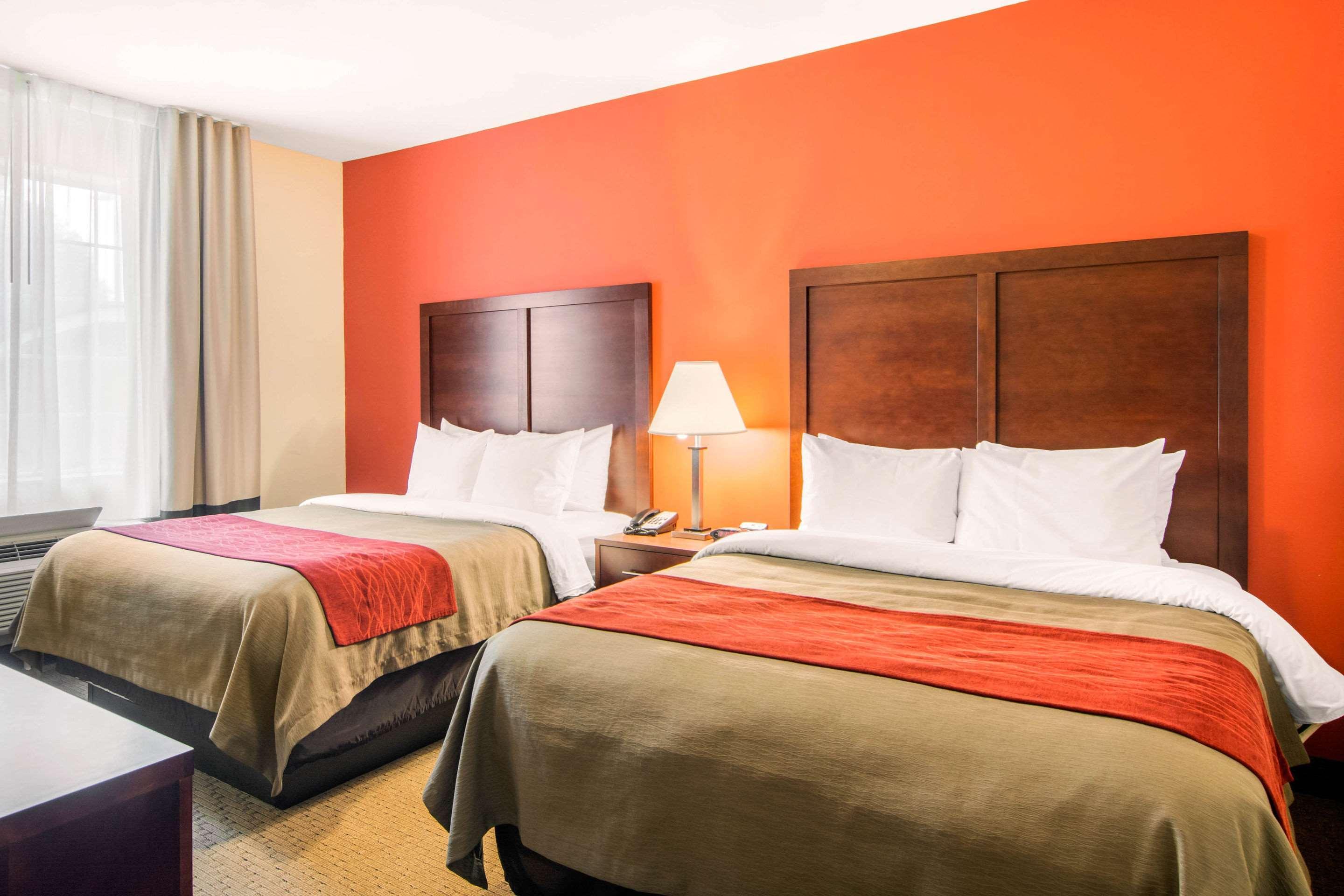 וילה ריקה Comfort Inn & Suites מראה חיצוני תמונה