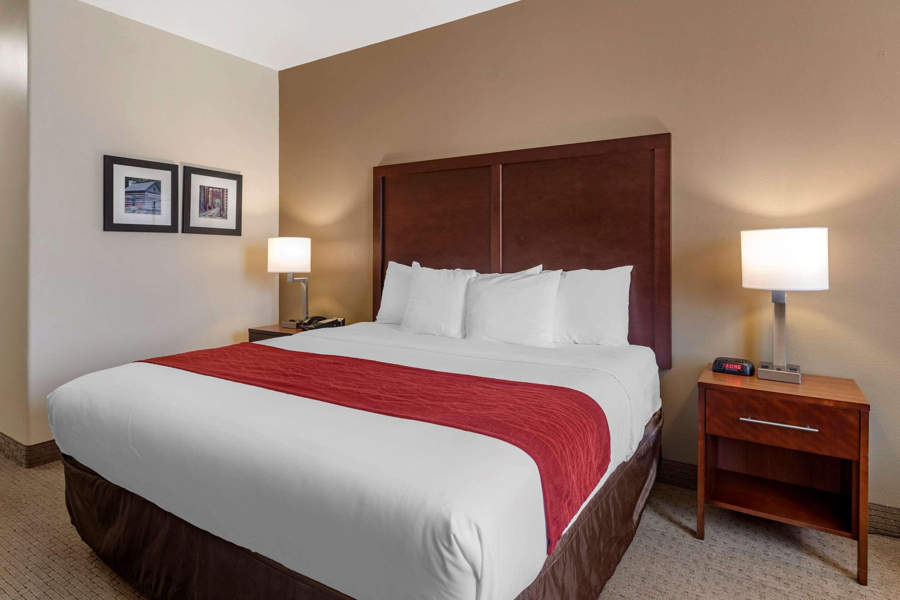 וילה ריקה Comfort Inn & Suites מראה חיצוני תמונה
