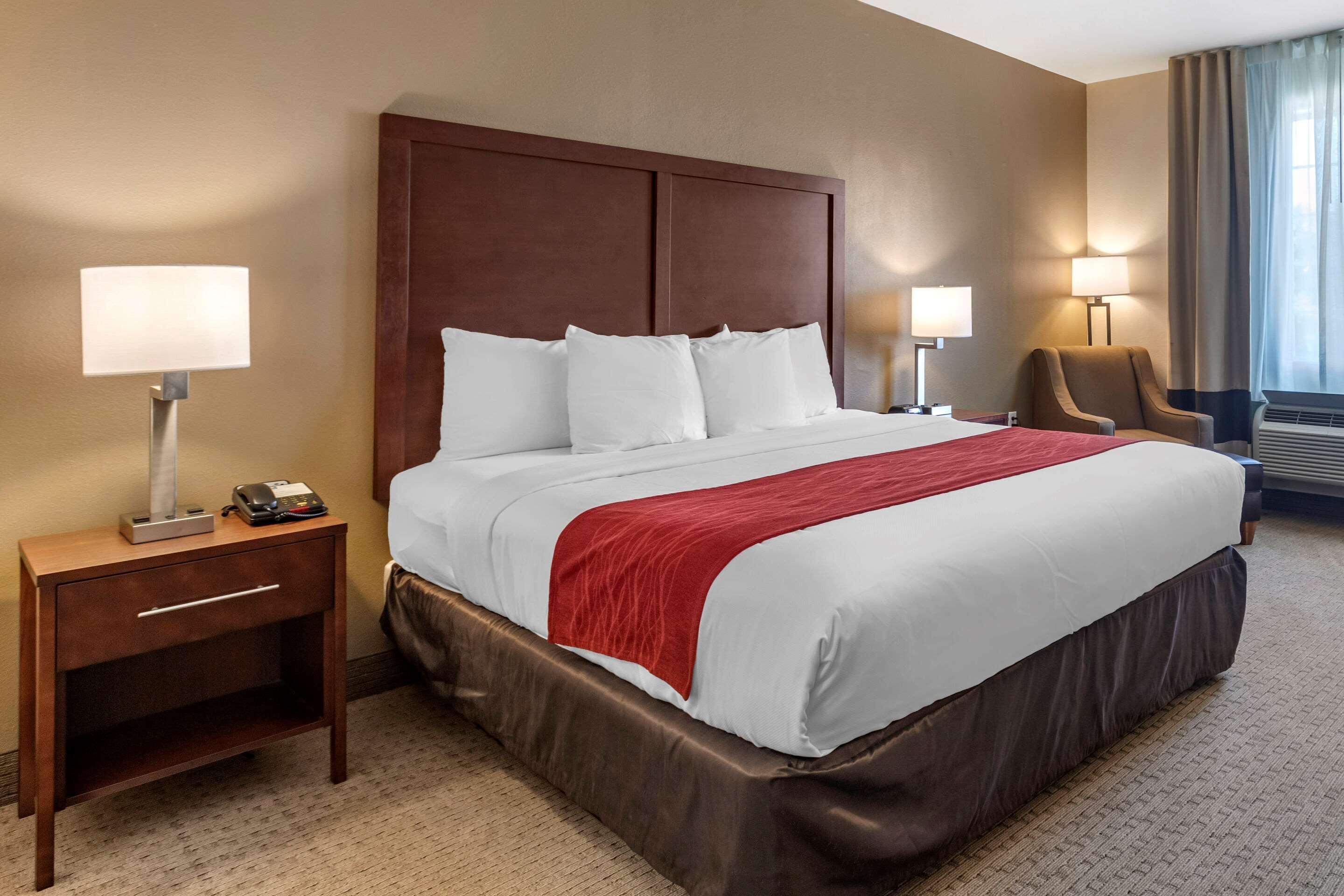 וילה ריקה Comfort Inn & Suites מראה חיצוני תמונה
