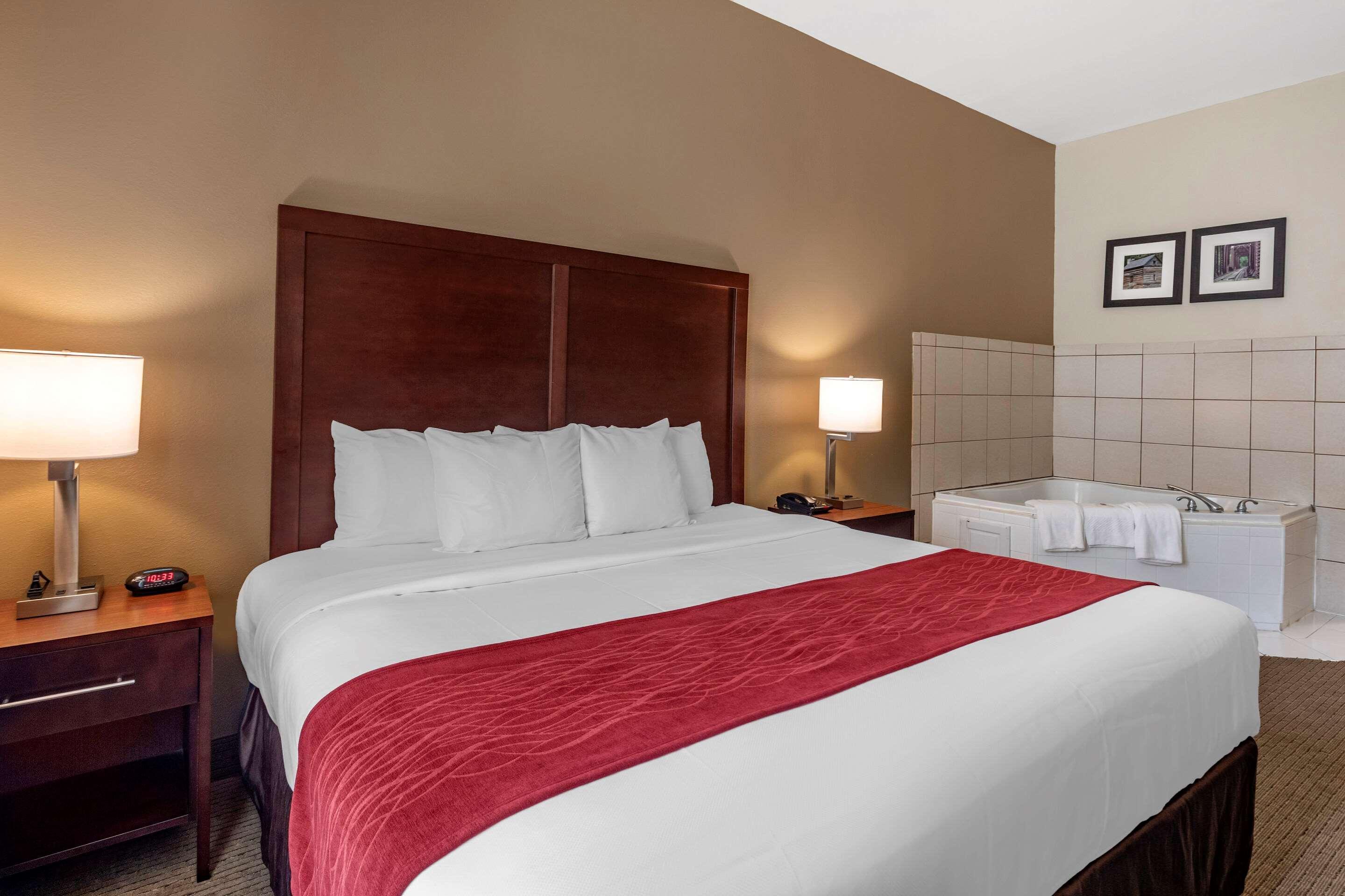 וילה ריקה Comfort Inn & Suites מראה חיצוני תמונה