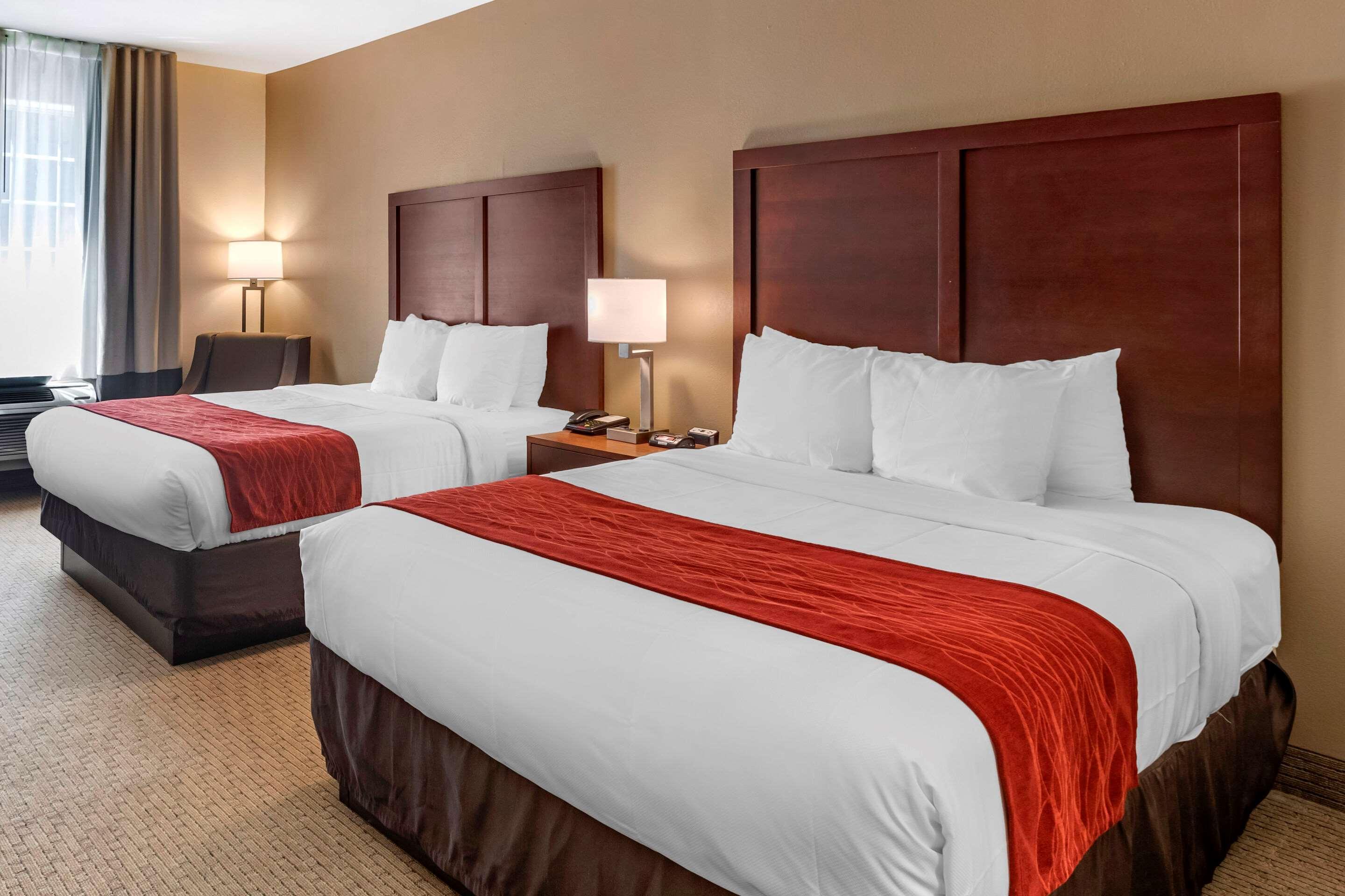וילה ריקה Comfort Inn & Suites מראה חיצוני תמונה