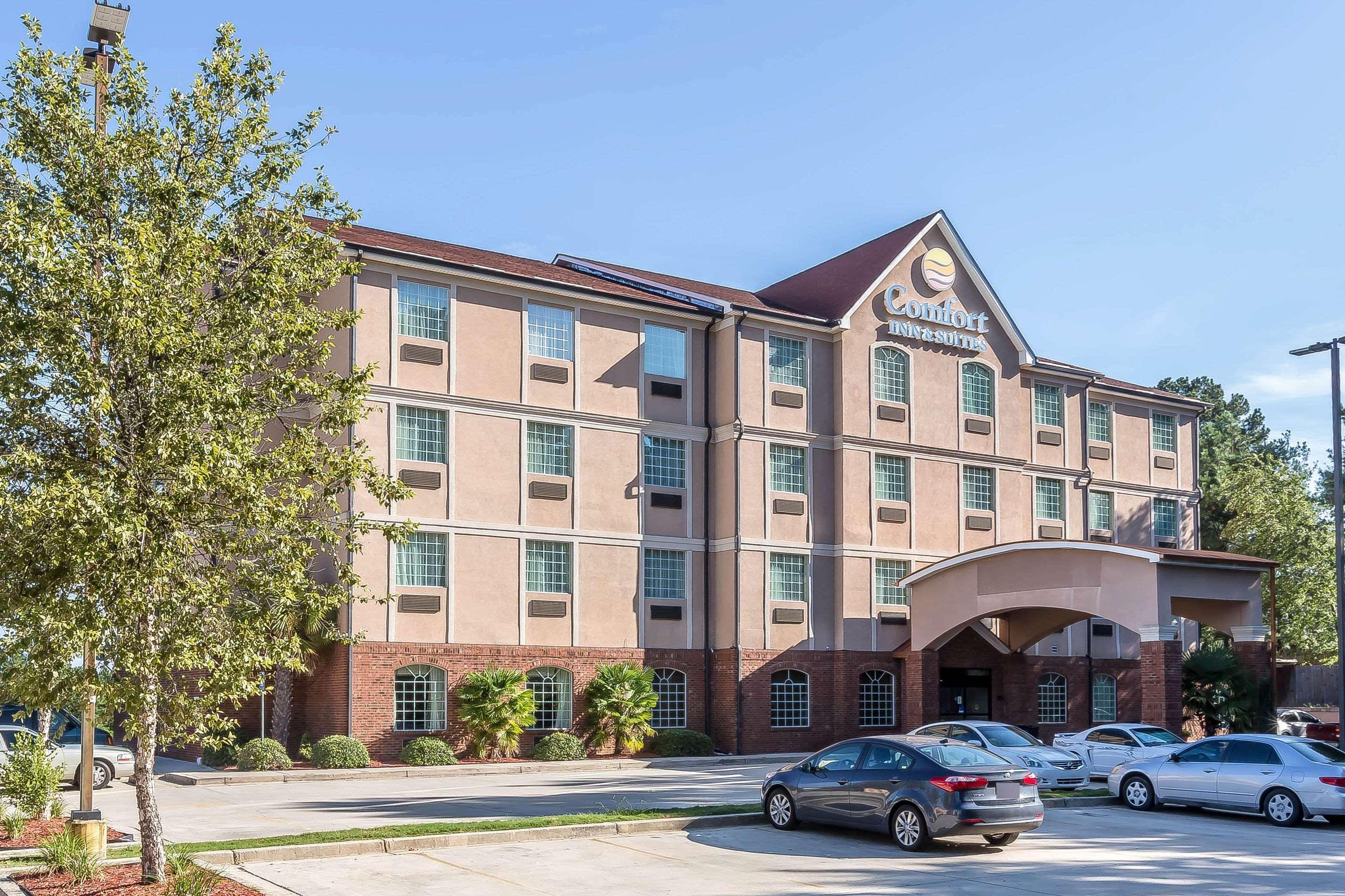 וילה ריקה Comfort Inn & Suites מראה חיצוני תמונה