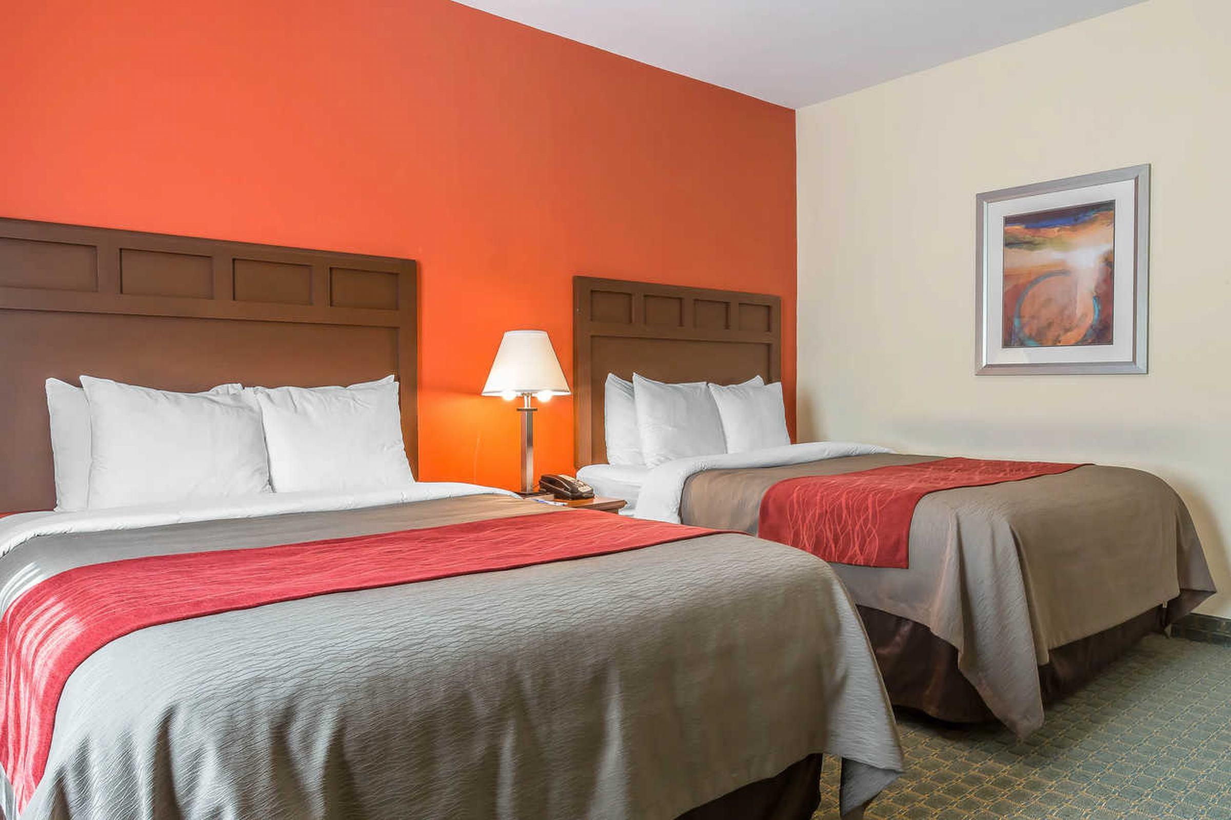 וילה ריקה Comfort Inn & Suites מראה חיצוני תמונה