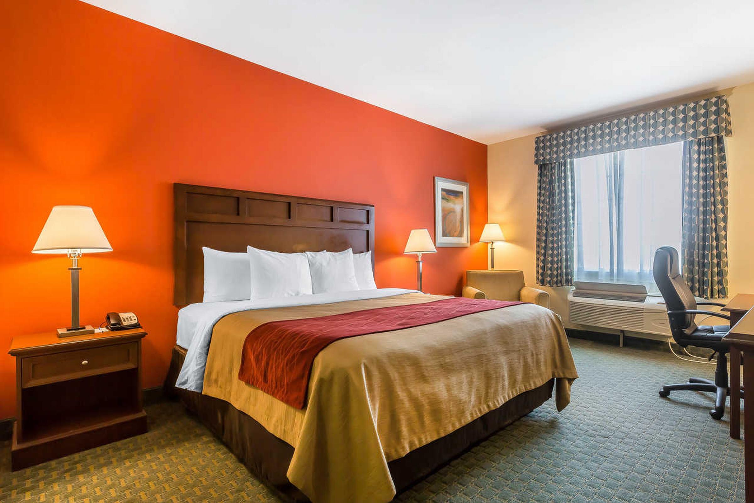 וילה ריקה Comfort Inn & Suites מראה חיצוני תמונה